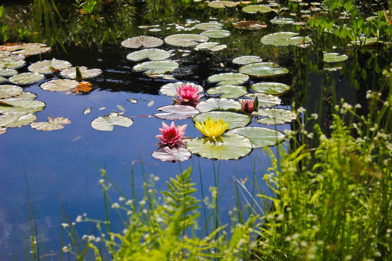 An Der Hainmuehle Lübben Extérieur photo