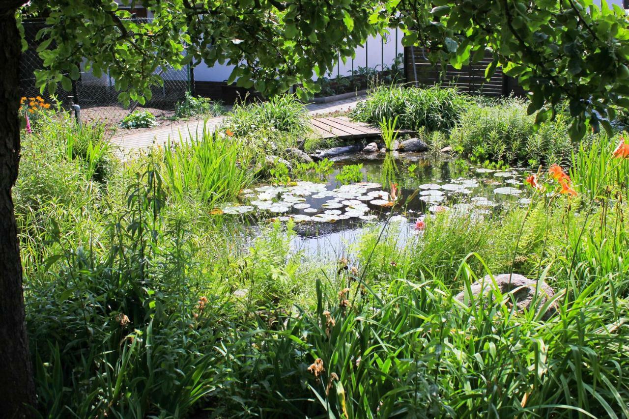 An Der Hainmuehle Lübben Extérieur photo