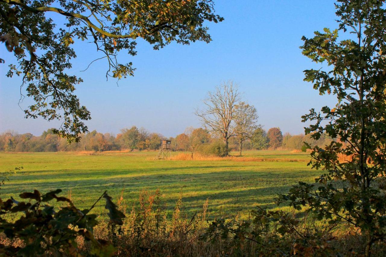 An Der Hainmuehle Lübben Extérieur photo
